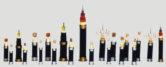 IPD研制系統在控制電纜行業同樣適用