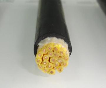 遠(yuǎn)洋控制電纜