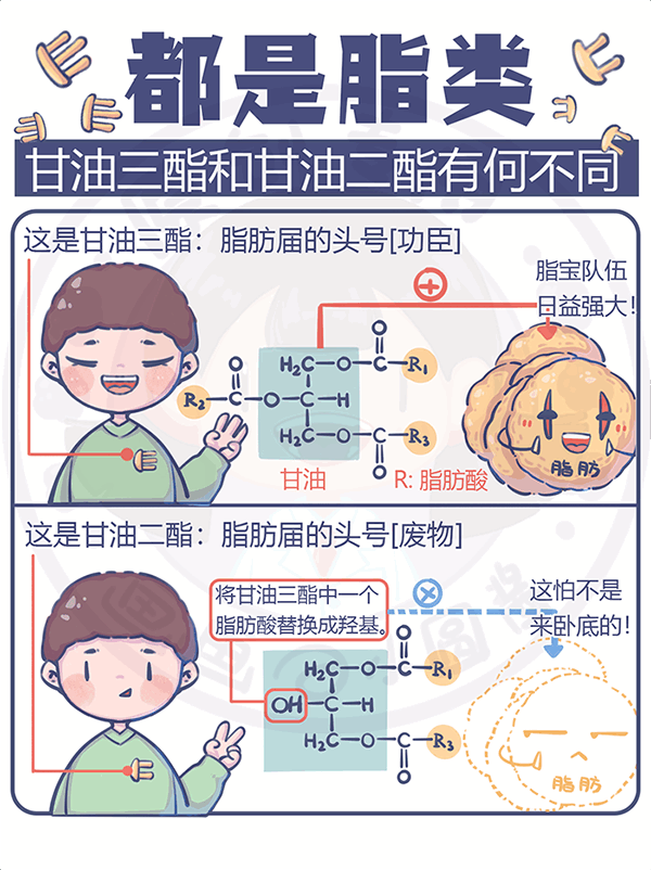 都是脂類甘油三酯和甘油二酯有何不同？